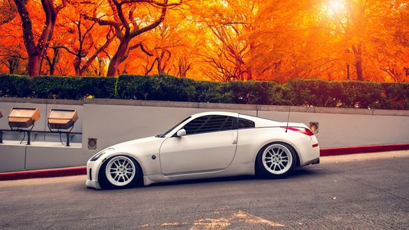 Обои на рабочий стол Nissan 350Z стоит у забора осеннего парка
