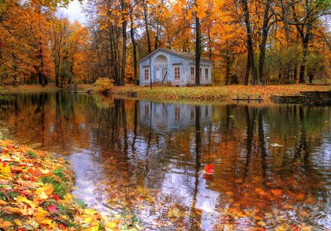 Обои на рабочий стол Царское село осенью, Санкт-Петербург, октябрь, фотограф Гордеев Эдуард