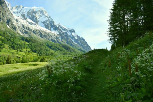 Обои на рабочий стол Луга, леса и горы в долине Валь Ферре, Италия / Val Ferret, Italy
