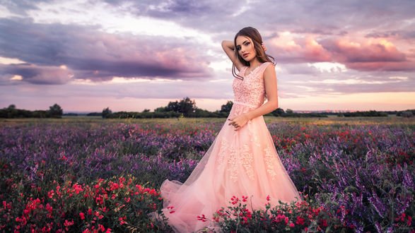 Обои на рабочий стол Модель Яна в розовом платье стоит в поле цветов, фотограф Sergey Shatskov