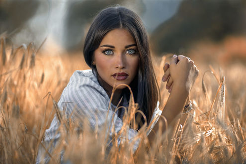 Обои на рабочий стол Голубоглазая девушка в колосистом поле, фотограф jessica napolitano