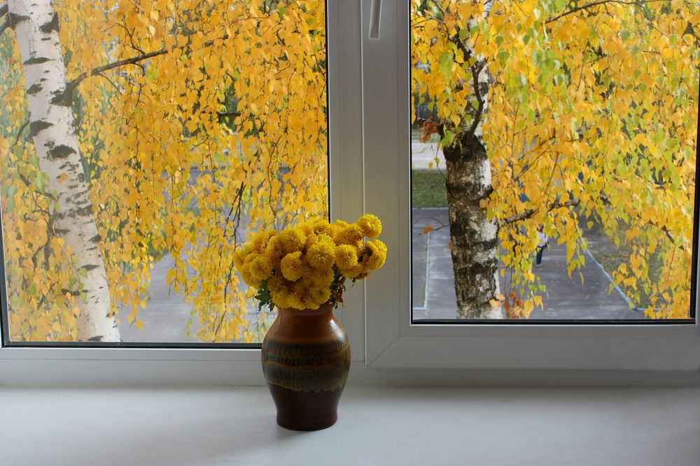 Осенний Букет На Окне Фото