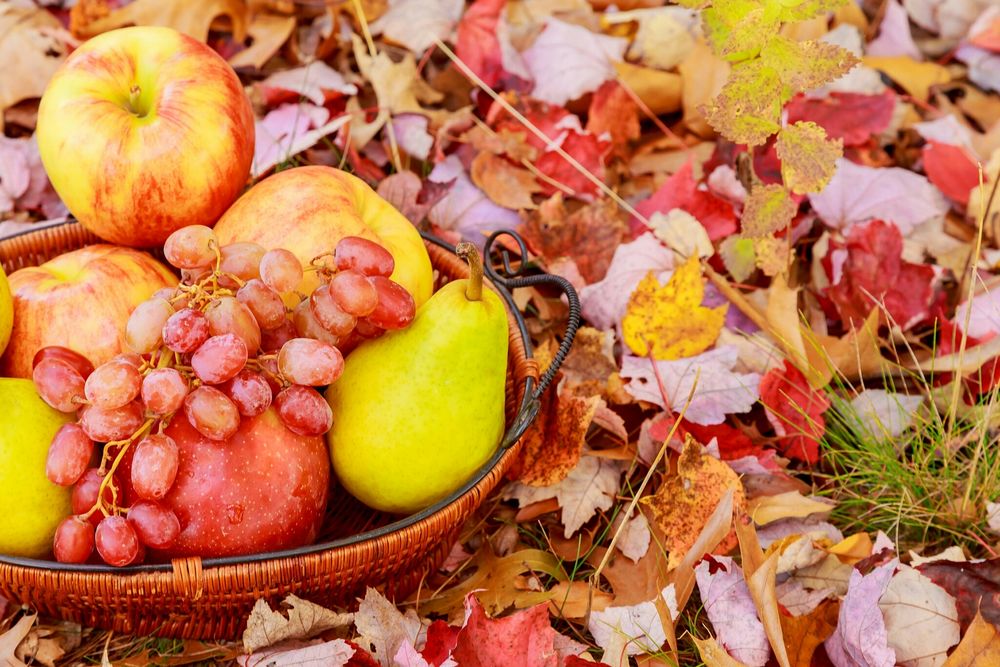 Обои для рабочего стола Яблоки, груши, виноград в плетеной корзиночке среди осенних листьев