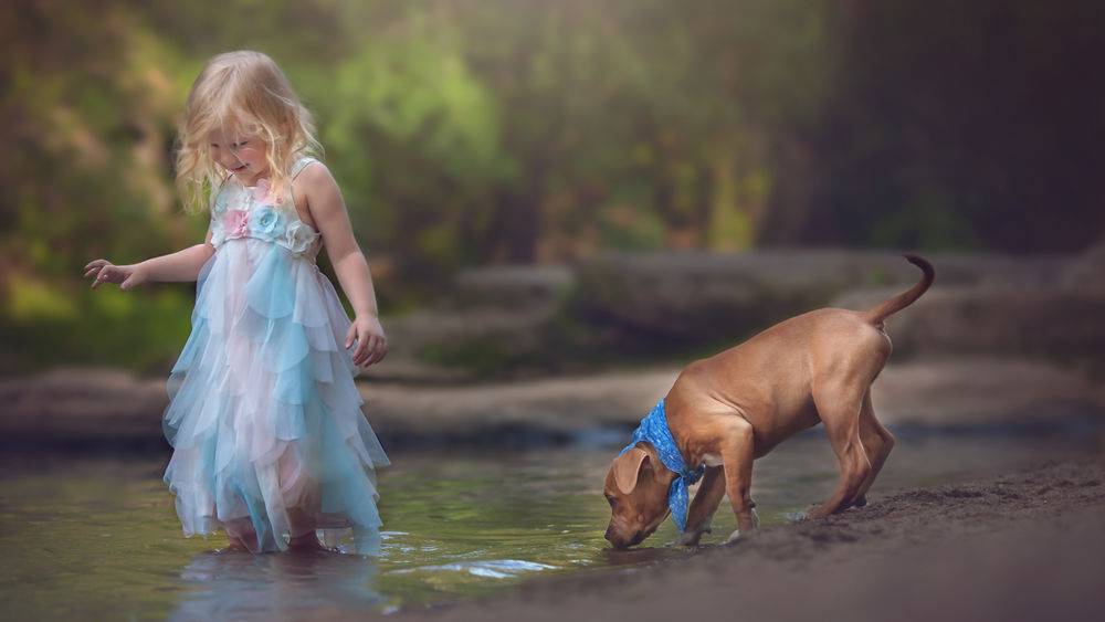 Обои для рабочего стола Маленькая светловолосая девочка в нарядном платье бредет босиком по ручью, позади за ней щенок пьет воду из ручья