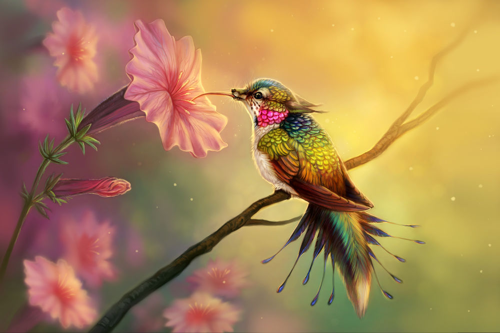Обои на рабочий стол Фэнтези колибри на фоне цветов, by Maquenda, обои для  рабочего стола, скачать обои, обои бесплатно