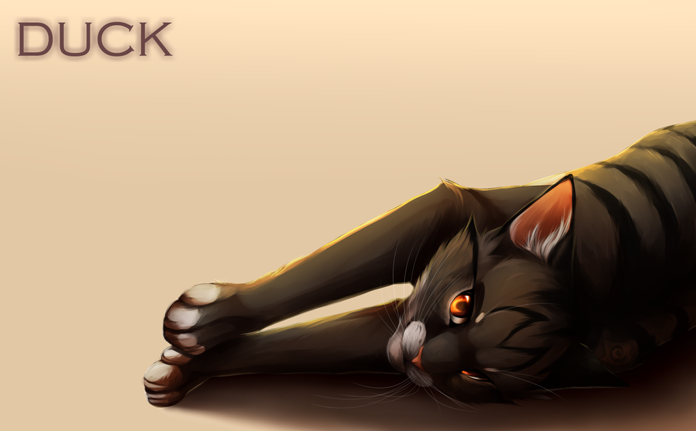 Обои для рабочего стола Черный кот на светлом фоне (duck / утка), by Capukat