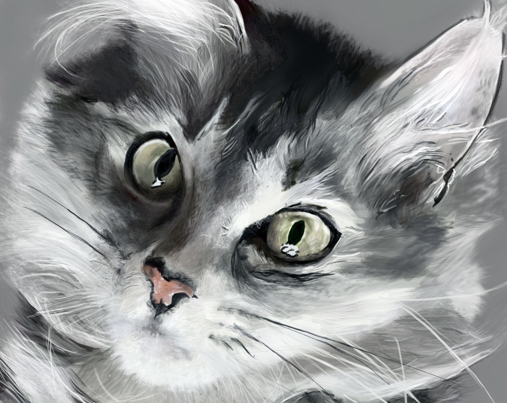 Обои для рабочего стола Кошечка с зелеными глазами, by GryFalck