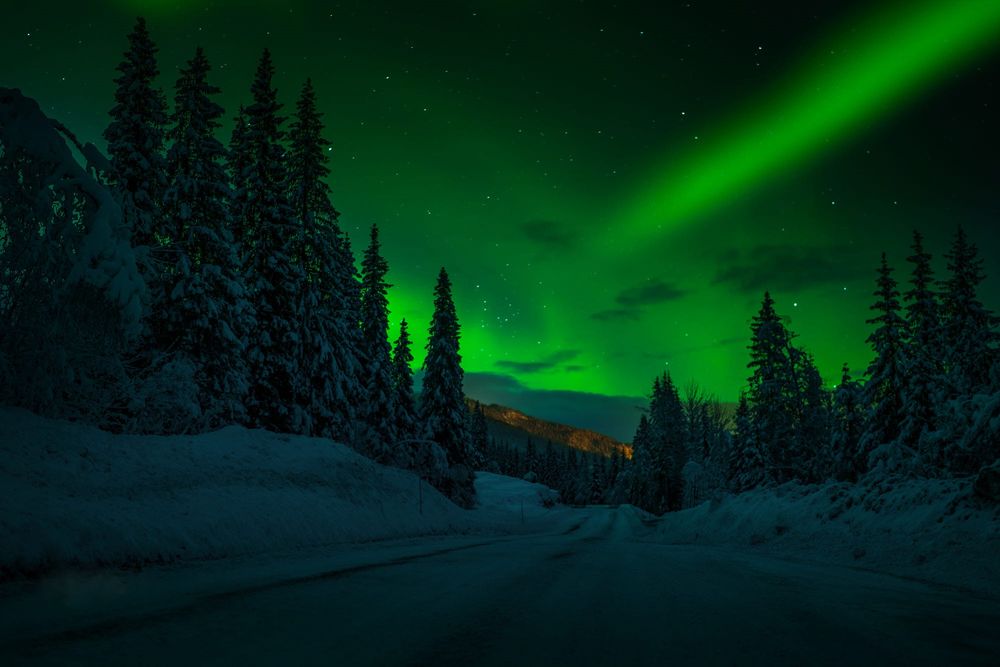Обои для рабочего стола Зимняя дорога под ночным небом с северным сиянием, фотограф Adnan Bubalo