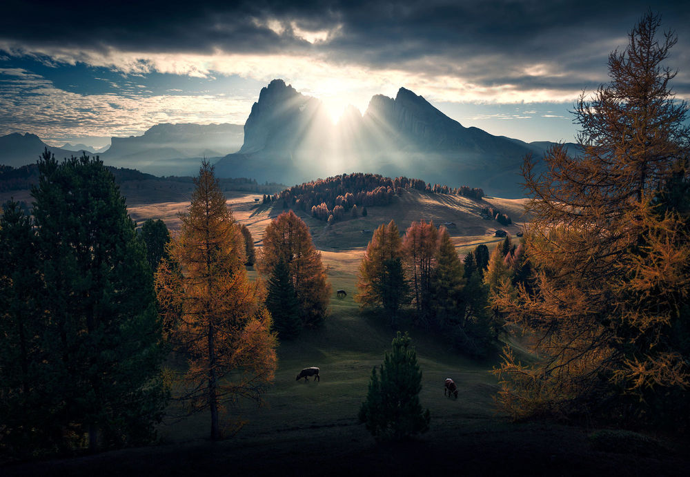 Обои для рабочего стола Восход солнца в Alp Di Siusi / Альп-Ди-Сиузи, Itali / Италия, фотограф Max Rive