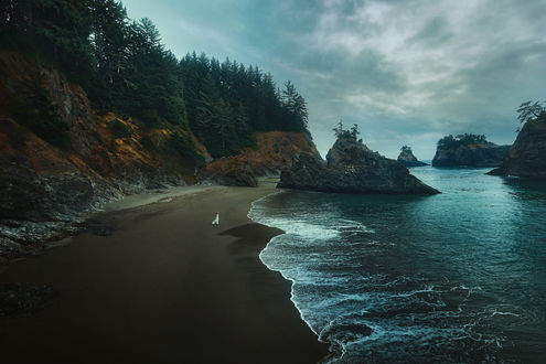 Обои на рабочий стол Девушка на побережье Oregon / Оригона, фотограф TJ Drysdale