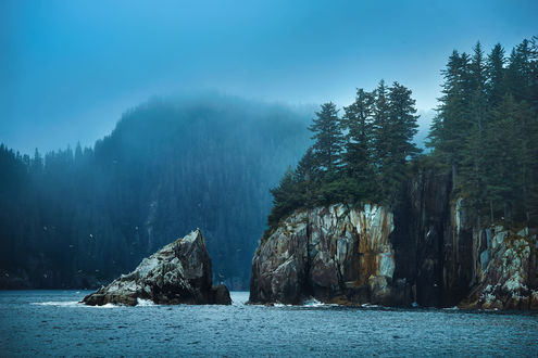 Обои на рабочий стол Скалы в море с деревьями на них, фотограф TJ Drysdale