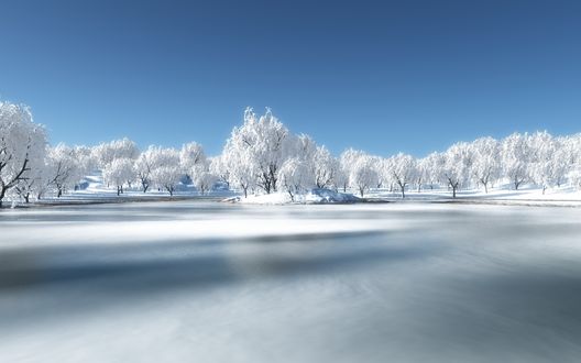 Обои на рабочий стол Замерзший водоем на фоне деревьев, покрытых инеем и безоблачного неба