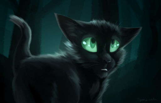 Обои на рабочий стол Ravenpaw / Горелый из серии романов Коты-Воители / Cats-Warriors, by Speedienth