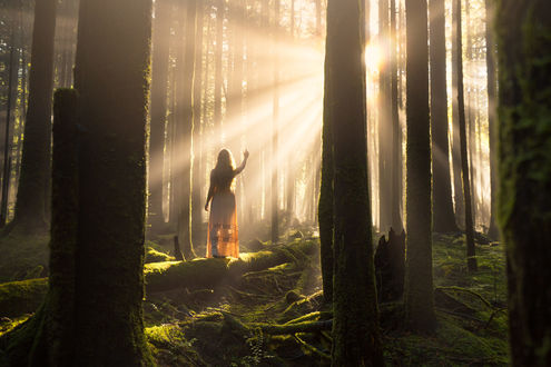 Обои на рабочий стол Девушка стоит в лесу освещенном солнцем, фотограф Lizzy Gadd