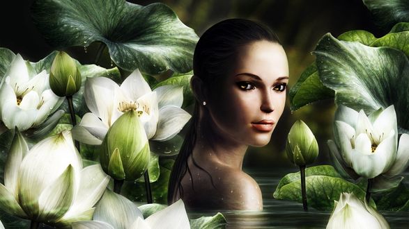 Обои на рабочий стол Lara Croft / Лара Крофт cреди лотосов, by oxxxxxashxxxxxo