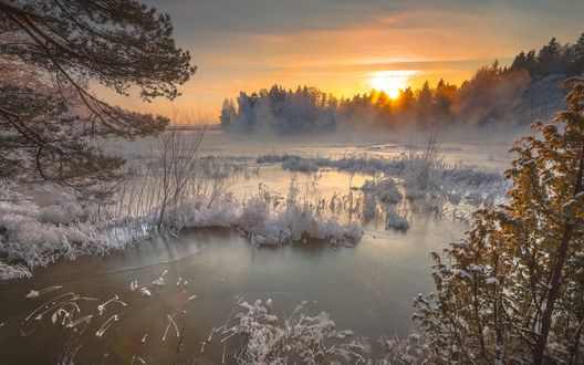 Обои на рабочий стол Озеро в зимнем лесу на закате, фотограф Jyrki Salmi