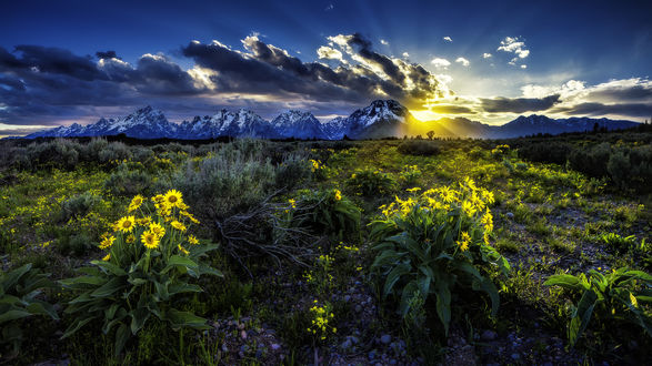 Обои на рабочий стол Природа на восходе солнца в горах. Grand Teton National Park, USA