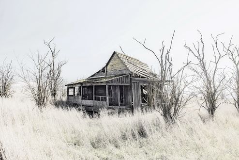 Обои на рабочий стол Старый, пустующий дом окруженный белой травой и голыми деревьями
