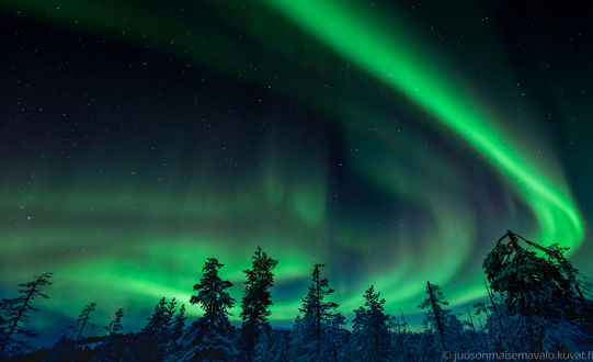 Обои на рабочий стол Северное сияние над зимними деревьями, Finland / Финляндия, фотограф Juuso Oikarinen