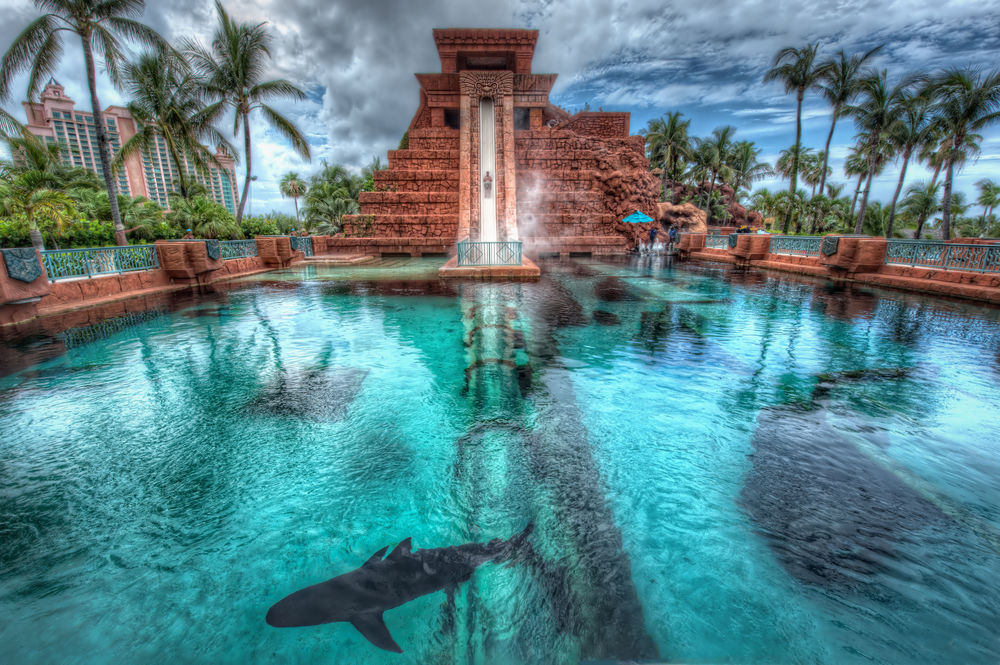 Обои для рабочего стола Бассейн с акулами на фоне природы и отеля Атлантис, Нассау, Багамские острова