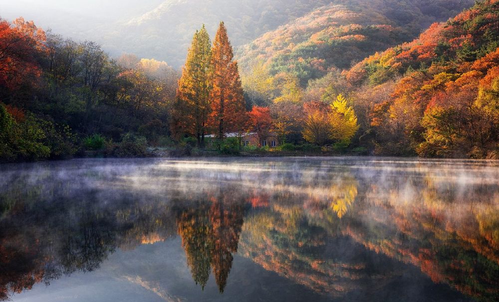 Обои для рабочего стола Осеннее прекрасное утро в лесу у озера, фотограф Jaewoon U