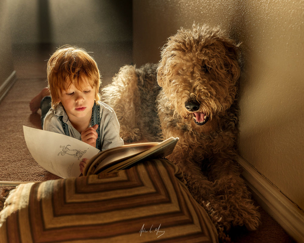 Обои для рабочего стола Мальчик с книгой рядом с собакой, фотограф Adrian C. Murray