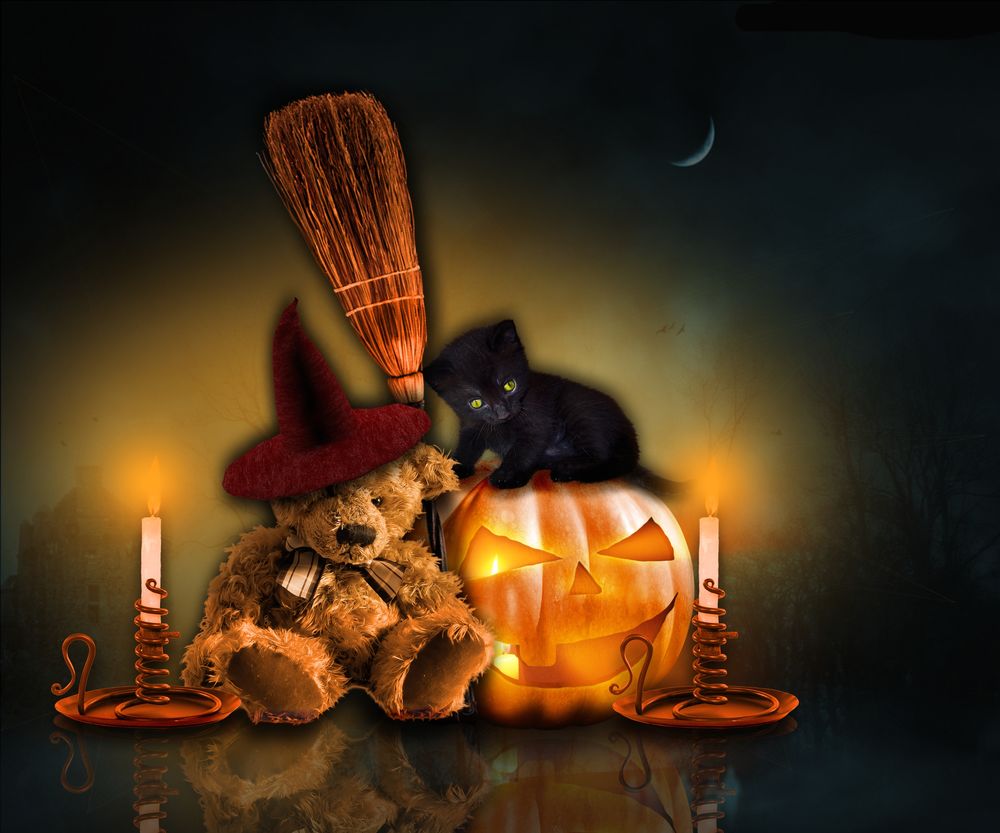 Обои для рабочего стола Игрушечный мишка и черный котенок, сидящий на светильнике Джека, при свечах на мрачном фоне