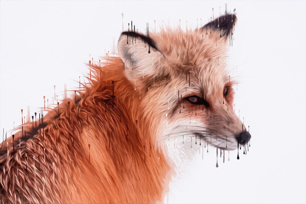 Обои для рабочего стола Рыжая лиса, by 0l-Fox-l0