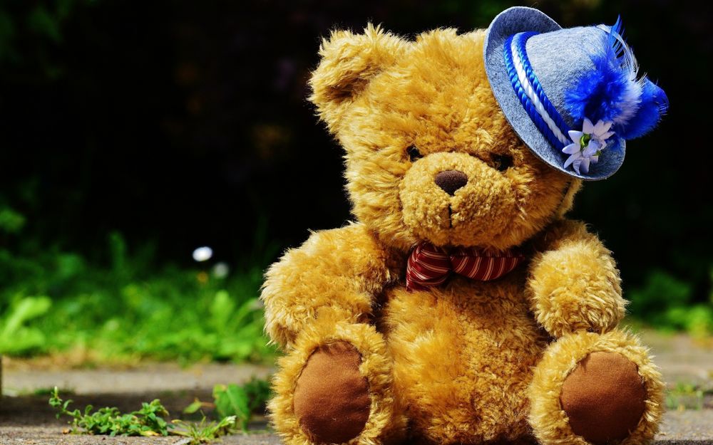 Обои для рабочего стола Плюшевый мишка в голубой шляпке на фоне природы