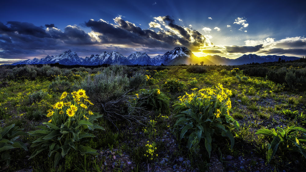 Обои для рабочего стола Природа на восходе солнца в горах. Grand Teton National Park, USA