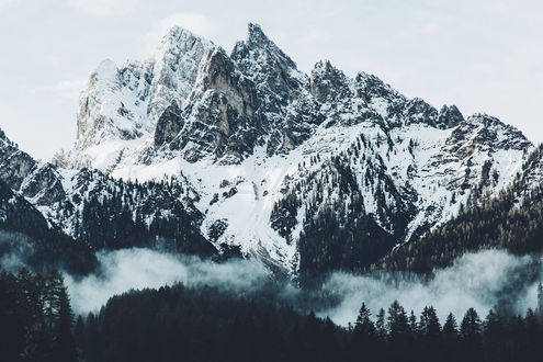 Обои на рабочий стол Заснеженные горы перед лесом, фотограф Daniel Casson