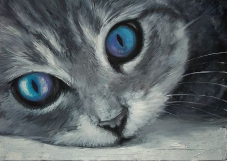 Обои на рабочий стол Серый кот с голубыми глазами, by Giac0mo