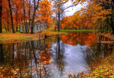 Обои на рабочий стол Царское село осенью, Санкт-Петербург, октябрь, фотограф Гордеев Эдуард