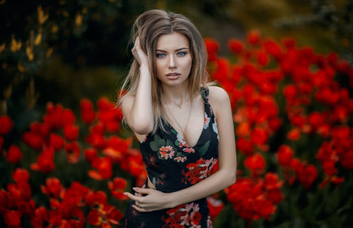 Обои на рабочий стол Модель Дарья стоит на фоне красных тюльпанов, фотограф Hakan Erenler