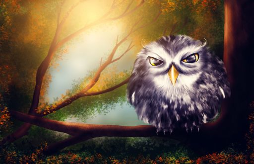 Обои на рабочий стол Сова сидит на ветке дерева, by Larisa-K