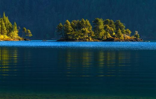 Обои на рабочий стол Островки с деревьями на озере Cowichan Lake, Canada / Коуичен-Лейк, Канада