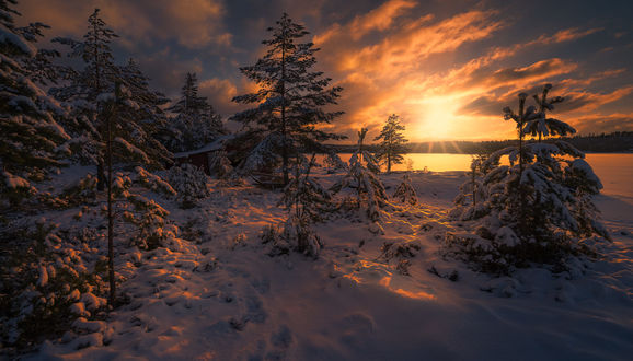 Обои на рабочий стол Зимний солнечный день на Ringerike, Norway / Ringerike, Норвегия, фотограф Ole Henrik Skjelstad