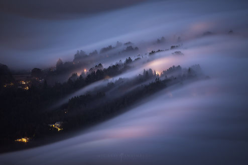 Обои на рабочий стол Домики в лесу, укрытого туманом, фотограф Michael Shainblum
