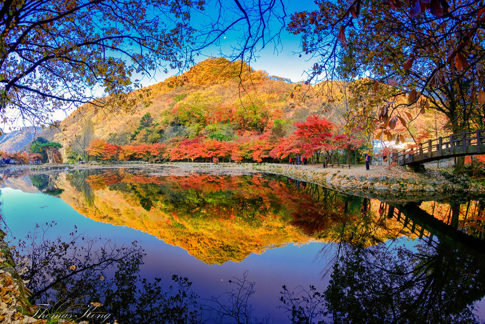 Обои для рабочего стола Осенние краски в Naejangasan National Park in Korea / Национальном парке Наэйангасан в Корее, фотограф Thomas Kong