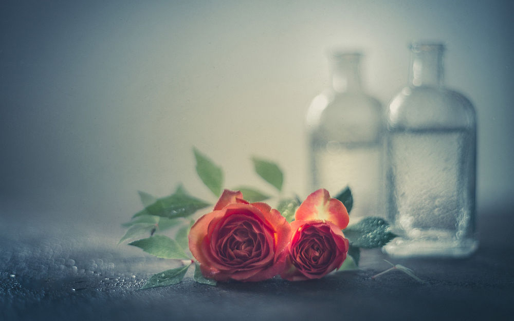 Розы на столе дома