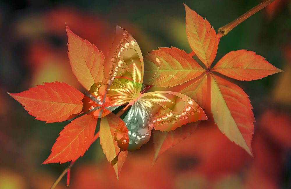 Обои для рабочего стола Цифровая бабочка на красных листьях, by Gerd Altmann