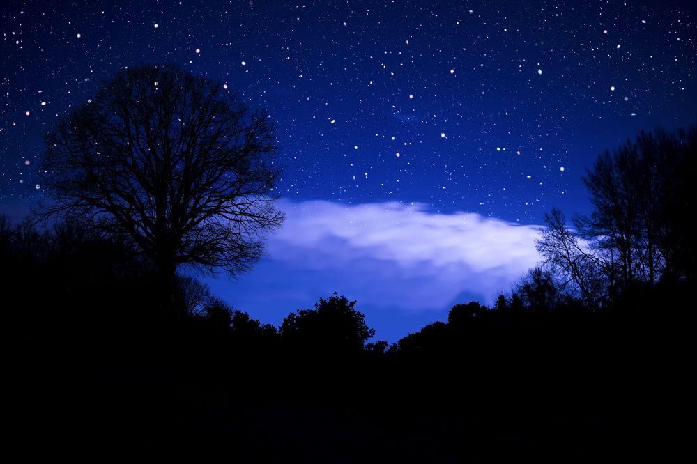 Обои для рабочего стола Силуэты деревьев на фоне усыпанного звездами ночного неба и облака, подсвеченного луной