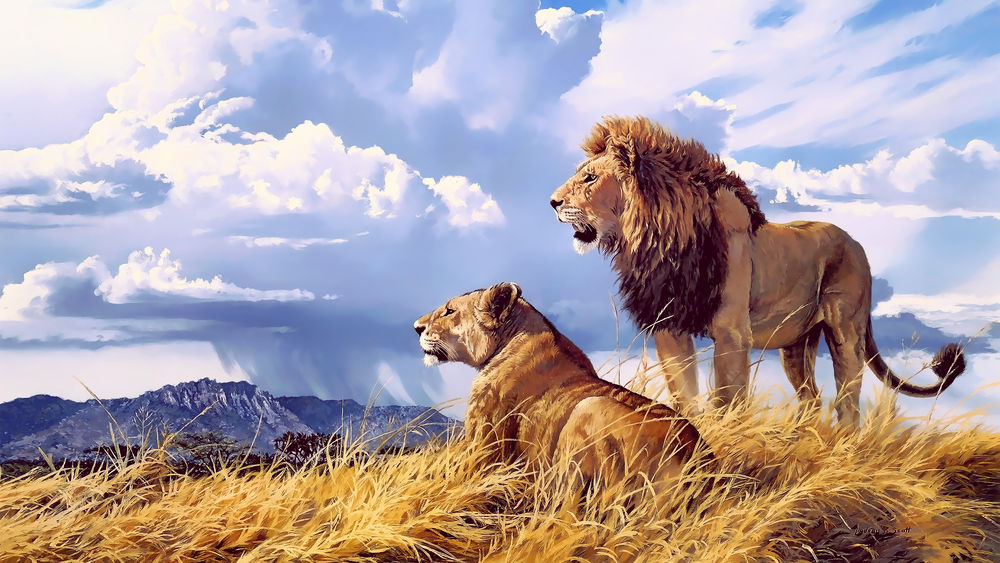 Обои для рабочего стола Лев и львица на фоне облачного неба
