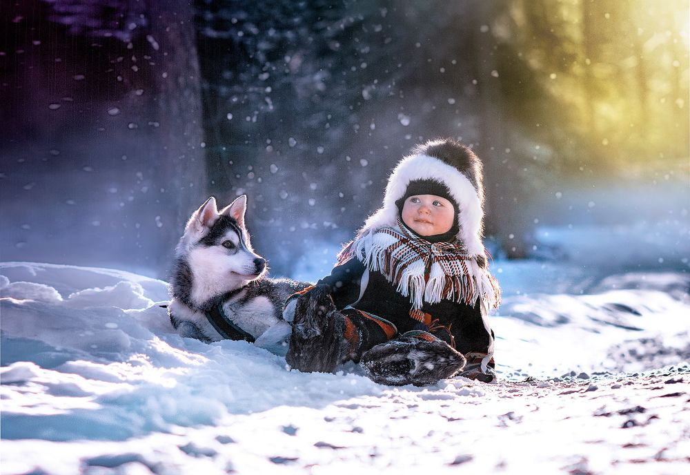 Обои для рабочего стола Мальчик лежит в снегу рядом со щенком хаски на фоне зимнего леса