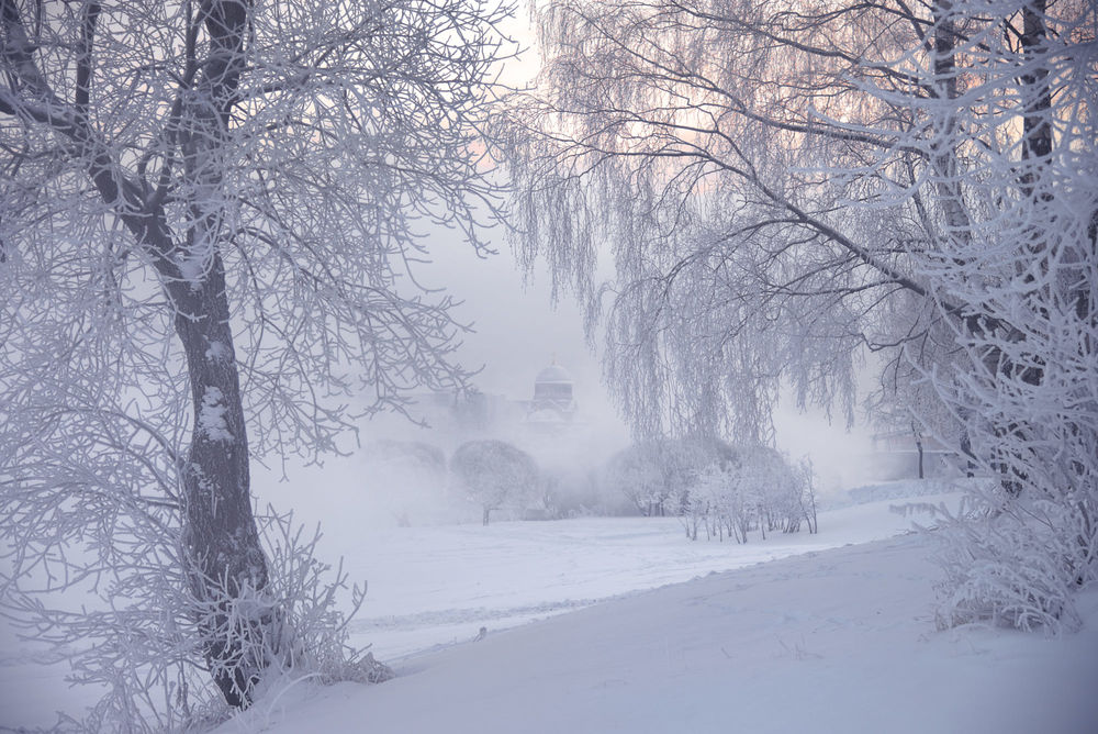 Обои для рабочего стола Зимний пейзаж, Санкт-Петербург, фотограф Ed Gordeev