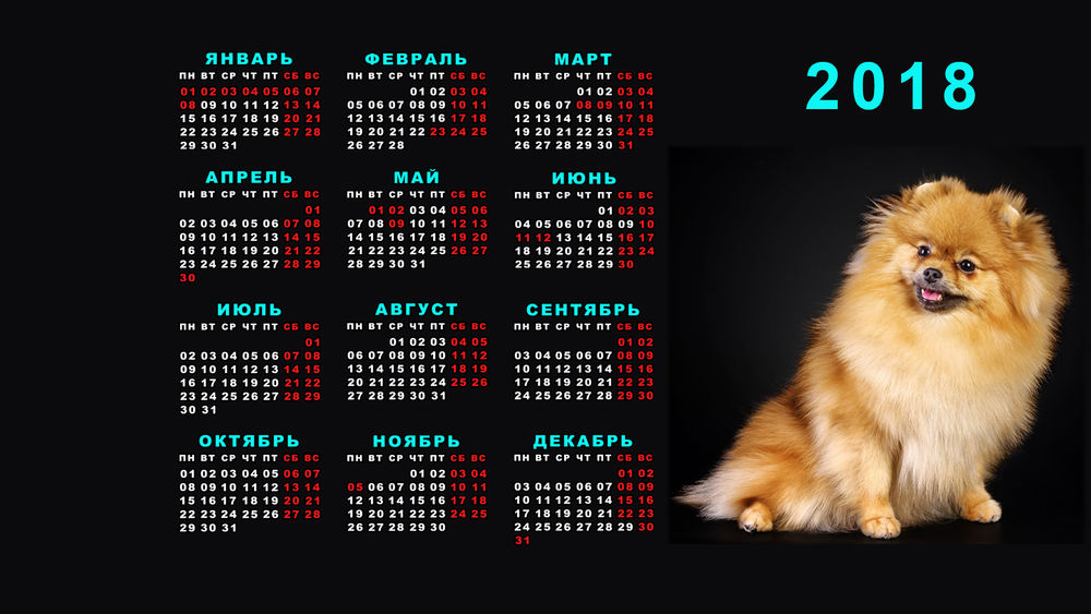 Обои для рабочего стола Обои-календарь 2018 г. на монитор 1920х1080 с рыжей собачкой
