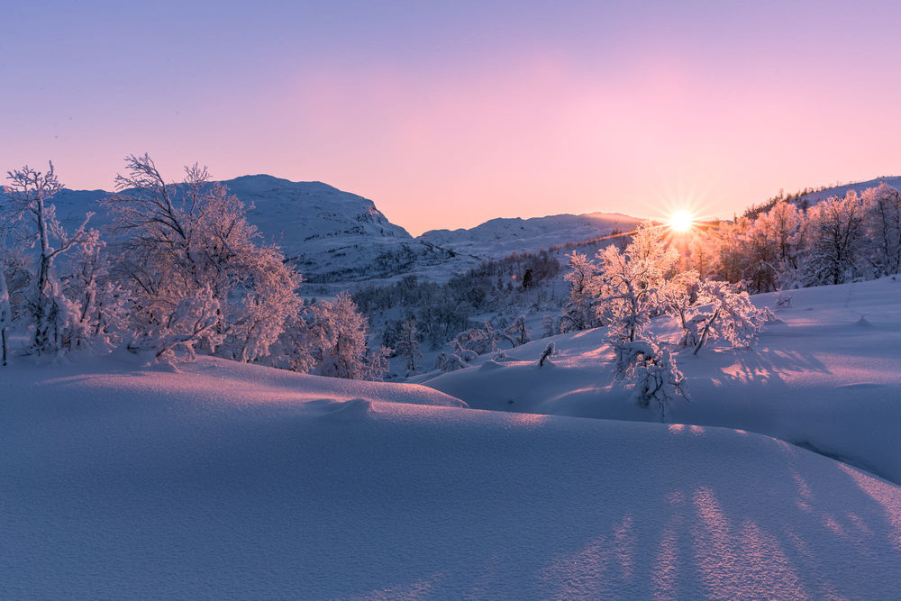 Обои для рабочего стола Декабрьская природа во время заката, фотограф Jоrn Allan Pedersen