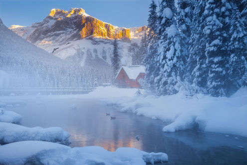 Обои на рабочий стол Пруд в Yoho National Park, British Columbia / национальном парке Йохо, Британская Колумбия, фотограф Doug Shearer