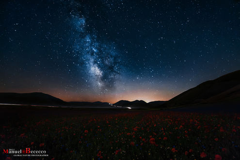 Обои на рабочий стол Над маковым полем ночное звездное небо, by Manuelo Bececco Photography