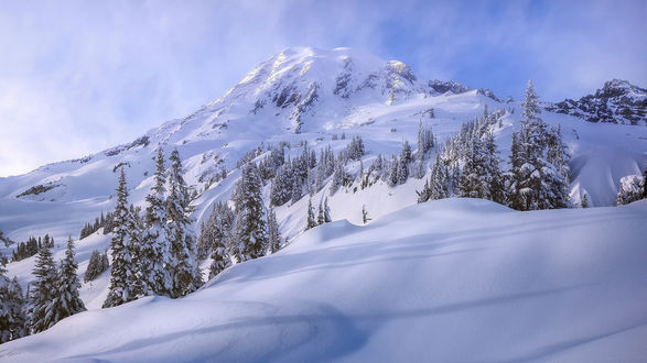 Обои на рабочий стол Гора Рейнир / Rainier, США / USA, фотограф Alex Noriega